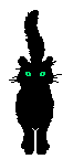 black cat magical mystical winking witch green eyes